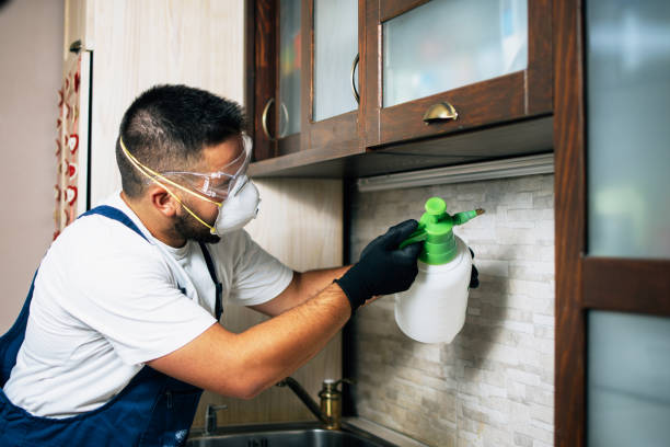 Trusted Fort Atkinson, WI Pest Control Experts
