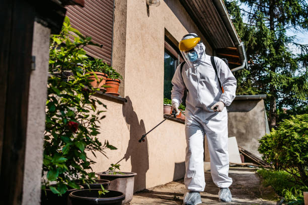 Best Ant Control Services  in Fort Atkinson, WI