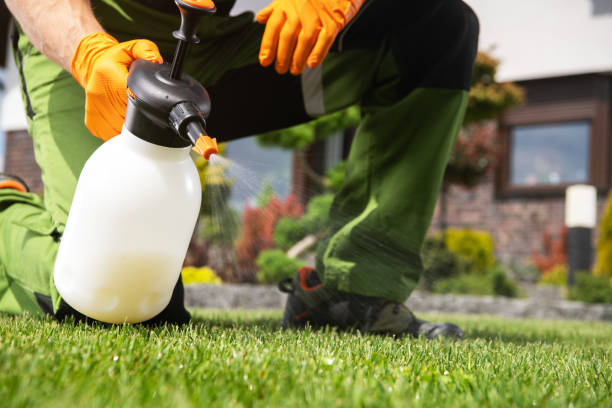 Best Termite Control Services  in Fort Atkinson, WI