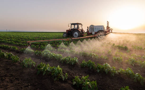 Best Pest Control for Homes  in Fort Atkinson, WI