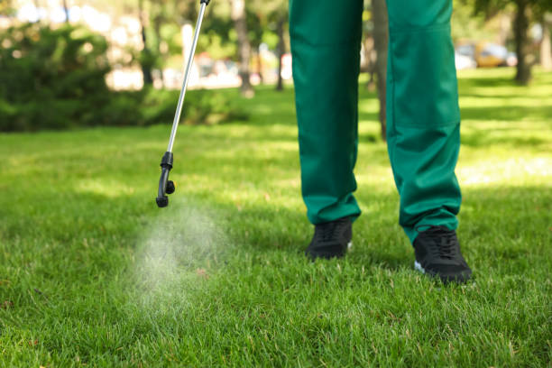 Best Local Pest Control Services  in Fort Atkinson, WI