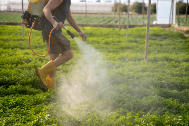 Best Affordable Pest Control Services  in Fort Atkinson, WI