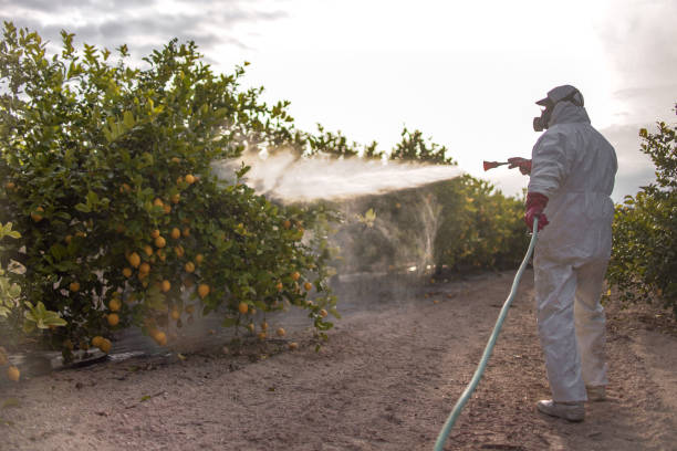 Best Pest Control for Restaurants  in Fort Atkinson, WI
