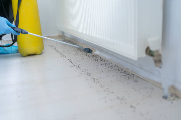 Best Mosquito Control Services  in Fort Atkinson, WI