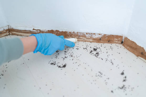 Best Pest Control Treatment  in Fort Atkinson, WI