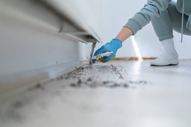 Best Emergency Pest Control  in Fort Atkinson, WI